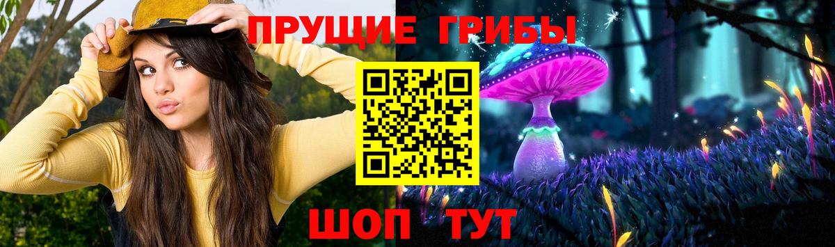Вятские Поляны  Галлюциногенные грибы мицелий  цены   Вход с VPN 